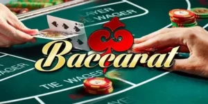 cach-bo-co-bac-online